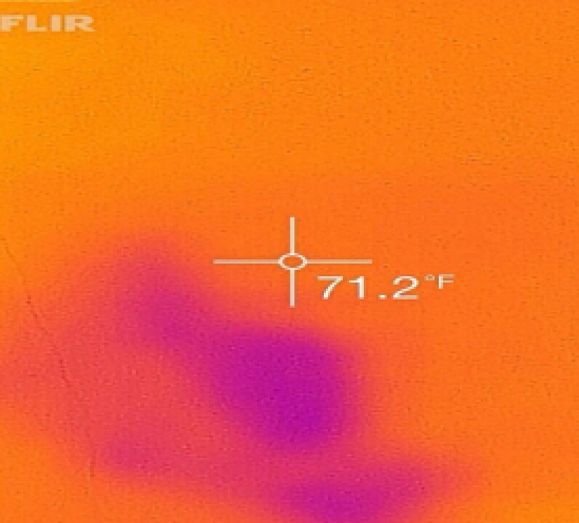 infrared imaging of home